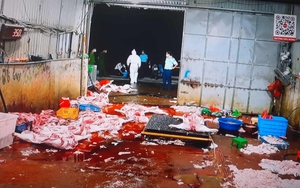 Triệt phá đường dây giết mổ, buôn bán hàng tấn thịt lợn bệnh: Hoạt động rất tinh vi