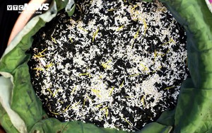 Loại trà đắt đỏ nhất Hà Nội, giá hơn 10 triệu đồng/kg được chế biến thế nào?