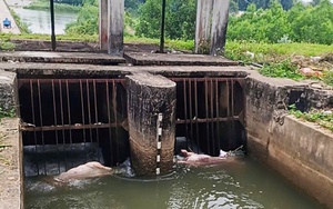 Nỗi ám ảnh của người dân Quảng Ngãi khi qua kênh B3