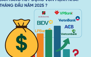 Ngân hàng tư nhân duy nhất hút tiền gửi hơn cả VietinBank và Vietcombank trong nửa đầu năm