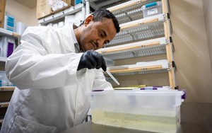 Vũ khí chống côn trùng xâm lấn