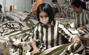 Phạm nhân nghèo không có tiền khắc phục hậu quả vẫn có cơ hội được đặc xá?