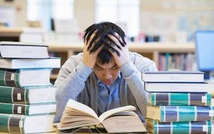 Ngành học từng tốt nghiệp là có việc, kể cả người có trình độ thấp, nay lao đao trước AI, thực tập cũng thành chuyện xa vời