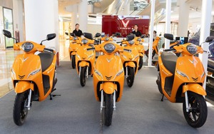 VinFast, Selex, Dat Bike, Yadea, Pega... đang làm gì với xe máy điện trong cuộc chạy đua logistics xanh?