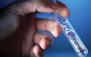 Không biết con của chồng hay sếp, cô gái trẻ hai lần đi xét nghiệm ADN, nhận kết quả gây “sốc”