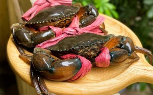 Mặt hàng Việt Nam lập đỉnh 10 năm, thị trường tỷ dân mua mạnh: Cơ hội vàng vươn mình trên bản đồ thế giới