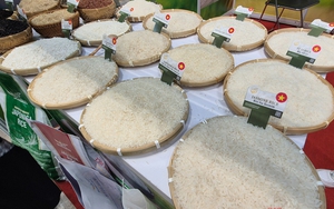 Giá gạo Việt Nam vẫn đứng vững, điều gì đang xảy ra?