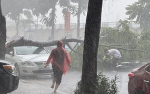 Cây đổ đè trúng người lái xe máy trong cơn mưa dông ở Hà Nội