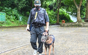 Huy động chó nghiệp vụ tìm nam du khách mất tích ở rừng Cúc Phương