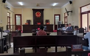 Phục hồi điều tra vụ nữ ‘đại gia’ thủy sản bị cáo buộc hủy hoại tài sản 23 triệu đồng