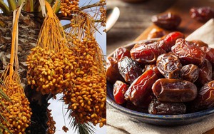 Loại quả được ví như "đường tự nhiên", ngọt mà không hại, giá rẻ hơn cherry, ăn tươi hay khô đều được