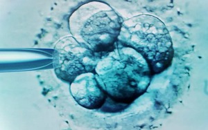 Kỳ tích y học: Bé trai chào đời từ phôi thai trữ đông suốt hơn 30 năm