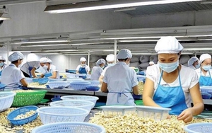 Mỹ áp thuế 20% với hàng Việt Nam: Doanh nghiệp, chuyên gia kỳ vọng giảm thêm