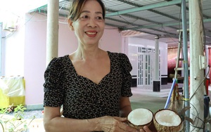 CLIP: Đánh liều mua 800.000 đồng/cây giống đặc sản, nhà vườn ở Cần Thơ thắng lớn