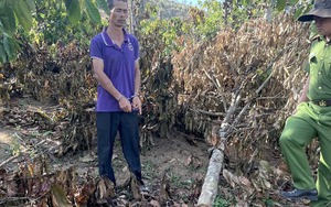 Anh rể phá vườn cây để "đòi... quan hệ với em vợ" lãnh án