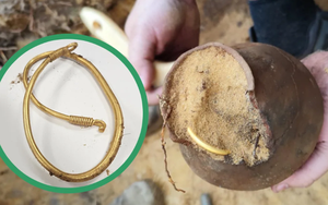 Khám phá khu rừng, 5 tuần đào được 3 kho báu