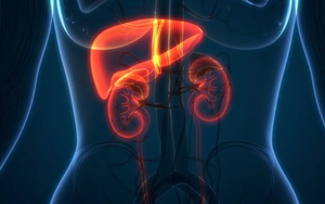 Gan và thận 'sợ ' nhất 7 điều này: Nhiều người Việt vẫn 'vô tư' làm mỗi ngày