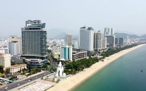 Hai phó giám đốc sở ở Khánh Hòa xin nghỉ việc