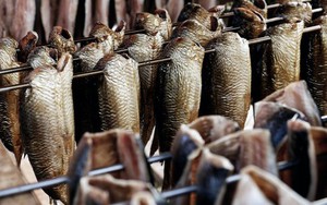 'Mỏ vàng' dưới nước giúp đưa Việt Nam thành ông trùm số 1 thế giới: Mỹ, Trung Quốc chốt đơn khủng, chỉ Việt Nam tạo nên ngành công nghiệp tỷ đô