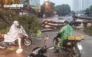 Chuyên gia: Bão số 5 Kajiki mạnh lên cấp 14, có thể tương đương bão Yagi khi đổ bộ