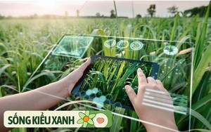 Từ CSR đến ESG: Doanh nghiệp phải "xanh" như thế nào để bền vững thật sự?