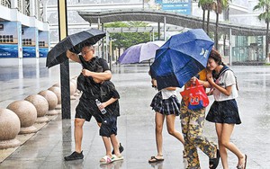 Bão Kajiki (bão số 5) gây mưa lớn, gió mạnh ở nhiều khu vực Trung Quốc