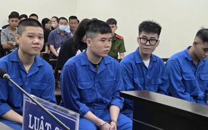 Từ gói hàng cấm trong chậu cây cảnh, 5 người phải trả giá