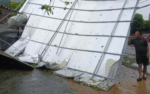 VIDEO: Hàng ngàn cây xanh, cột điện bị gãy đổ sau khi cuồng phong bão số 5 quét qua