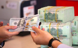 VND tiếp tục mất giá trong tháng 8, áp lực tỷ giá có thể đến từ tình trạng găm giữ USD khi NHNN đang thực hiện nới lỏng chính sách tiền tệ