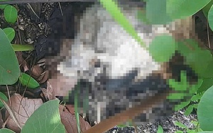 Phát hiện bộ xương người trên núi tại Gia Lai: Đã có người thân đến nhận