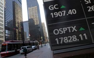 Tẩy chay hàng Mỹ nhưng dân nước láng giềng Washington không thể cưỡng lại sức hấp dẫn của thị trường chứng khoán lớn nhất thế giới, rót vốn cao kỷ lục  35 năm