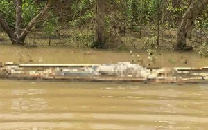 Tá hỏa phát hiện nhiều thi thể trôi dạt trên lòng hồ thủy điện