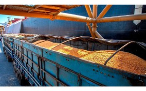 Hàng chục nghìn tấn hàng từ Lào đổ bộ Việt Nam với giá siêu rẻ - Nước ta có diện tích trồng top 30 thế giới vẫn phải chi tiền nhập khẩu