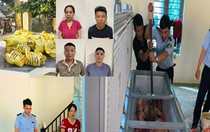 4 người ở Thanh Hóa gom heo mắc dịch tả heo châu Phi bán ra thị trường