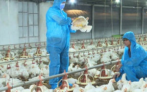 Kế hoạch bứt phá của Tây Ninh