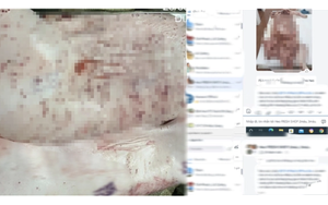 Nhìn lại diễn tiến vụ ông L.Q.N "tố" Công ty C.P. Việt Nam