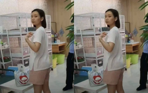 Người phụ nữ bạo hành khiến 4 chú mèo con tử vong: Nguyên nhân chỉ vì "tâm trạng không tốt"