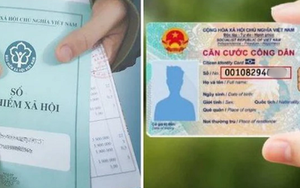 Hướng dẫn sử dụng số định danh cá nhân, căn cước công dân thay thế mã số Bảo hiểm xã hội và bộ mã quản lý