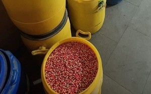 Điều tra suốt 2 tháng, triệt phá đường dây sản xuất thuốc giả, thu giữ gần 200 kg thuốc nhái Panadol, Johnson & Johnson, GSK…