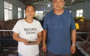 Mất trắng 7 tỷ, thế chấp 2 căn nhà, cặp vợ chồng 7X quyết săn "mỏ vàng biết bay”