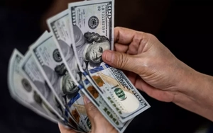 Dự báo về tiền Việt khi giá USD liên tục trồi sụt