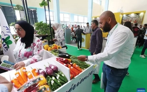 Algeria xây dựng hệ thống lương thực bền vững