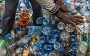 Tái chế sẽ vô nghĩa nếu không giảm sản xuất nhựa