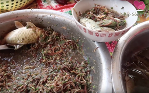 Những món ăn sống ám ảnh nhất Việt Nam: Có món là đặc sản lừng danh nhưng vẫn khiến nhiều người e sợ