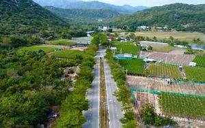 Dự án điện hạt nhân Ninh Thuận 2: Vì sao phải chọn nơi xây khu tái định cư mới?