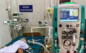 Bị 23 vết ong vò vẽ đốt, bé 5 tuổi ở Gia Lai tử vong