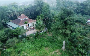 Hai 'báu vật sống' hơn 200 năm tuổi ở Hà Tĩnh: Trị giá trăm tỷ, nay chính thức trở thành Di sản Việt Nam