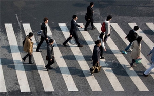 Người đi bộ không cần giơ tay sang đường trong trường hợp nào?