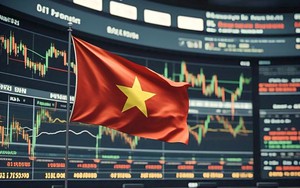 Cá nhân ồ ạt đổ tiền, một lĩnh vực kinh tế của Việt Nam bước vào thời kỳ 'siêu sôi động'