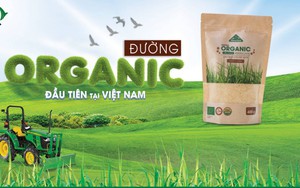 Sức mạnh chinh phục châu Âu từ hộp đường 800gr "Made by Vietnam": Nắm kỷ lục đầu tiên tại Việt Nam